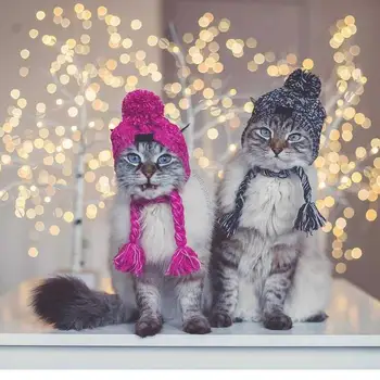  Рождественская одежда, шапки для собак, зимние теплые вязаные шапки для домашних собак, Забавная одежда для кошек, аксессуары для собак, Ветрозащитная шапка для домашних животных